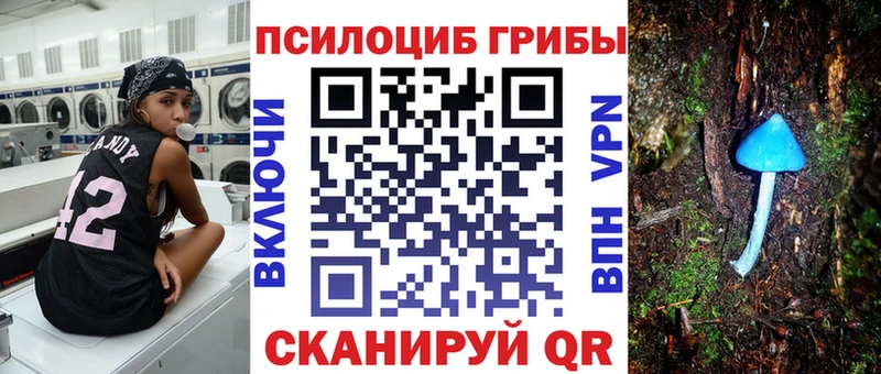 Псилоцибиновые грибы GOLDEN TEACHER  Коммунар 